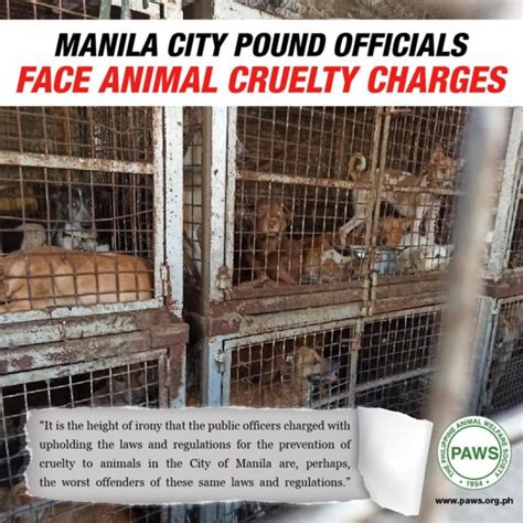 manila city pound contact number|On the city pound: Help! Is it legal for dog catchers to .